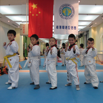 PVC High Density Taekwondo Floor Mat Tatami for Judo and Karate