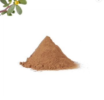High quality raspberry ketone powder 98%