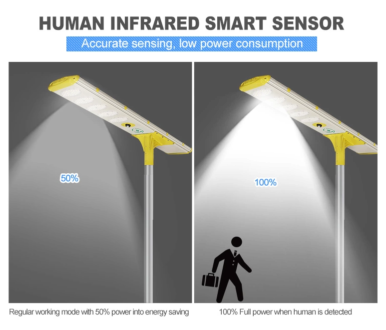 human infrared smart sensor solar streetlight