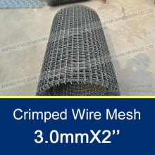 Low Carbon Crimped Mesh/Galvanized Crimped Mesh/Stainless Steel Crimped Mesh