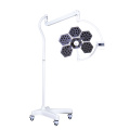 Hospital Surgical LED Examing Lamp For Medical