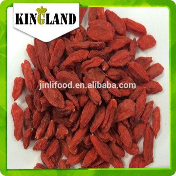 bulk organic goji berries