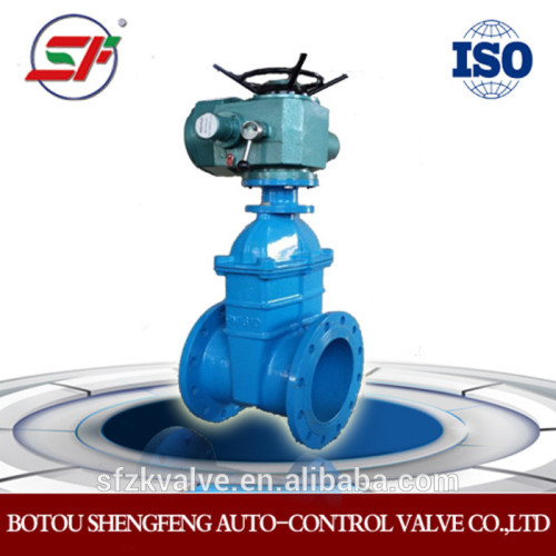 Electric actuator gate valve