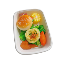 Takeaway 8inchx6inch food Bagasse Food Container With Lid