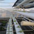 NFT Hydroponics Tower system for Greenhouse Vegetables