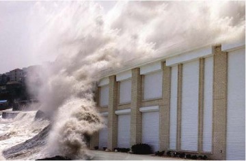 Hurricane Shutter Door (HSS05B)