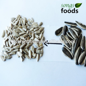 Food Seeking Business Partners, Confectionary Sunflower Seeds