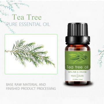 10ML Organic Natural Pure Therapeutic Grade Essential Oil