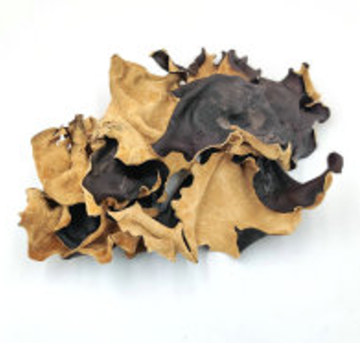 well produced Black Fungus With White Back