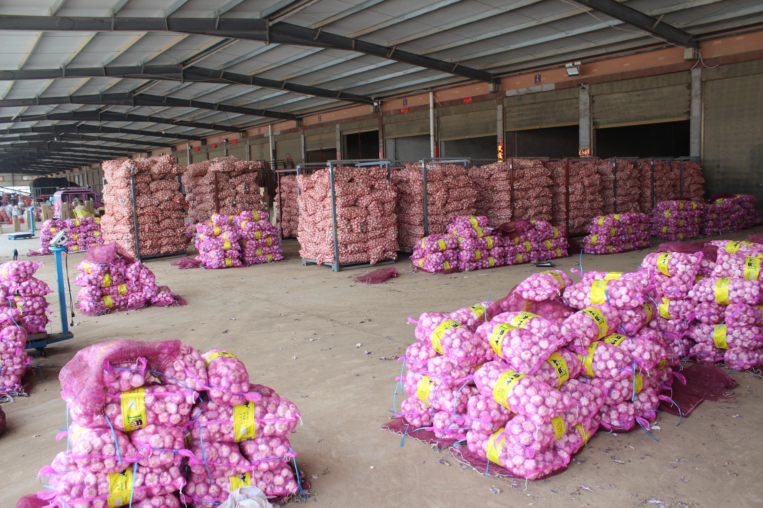Chinese Agricultural Product Dried Garlic Slices Material Warehouse