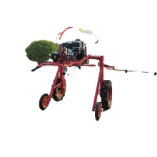 Gasoline Engine Garden Power Sprayers Search Engine