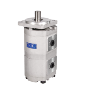 CBKP Double Gear Oil Pump