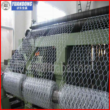 gabion mesh/gabion fence /stone gabion mesh(professonal manufacturer)