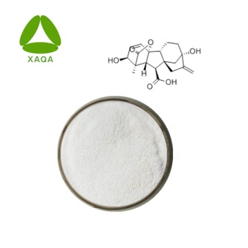 Gibberellic Acid 90 GA 3 Powder Bio Fertilizer