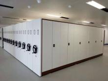 Government Storage Movable Cabinet