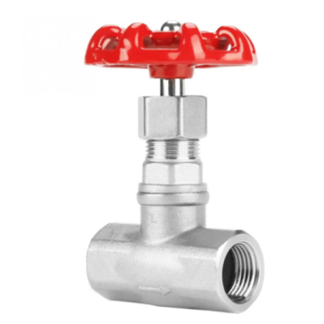 Stainless Steel Gate Valve