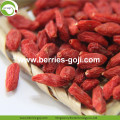 Nhà máy Bán chạy nhất khô Tây Tạng Goji Berries