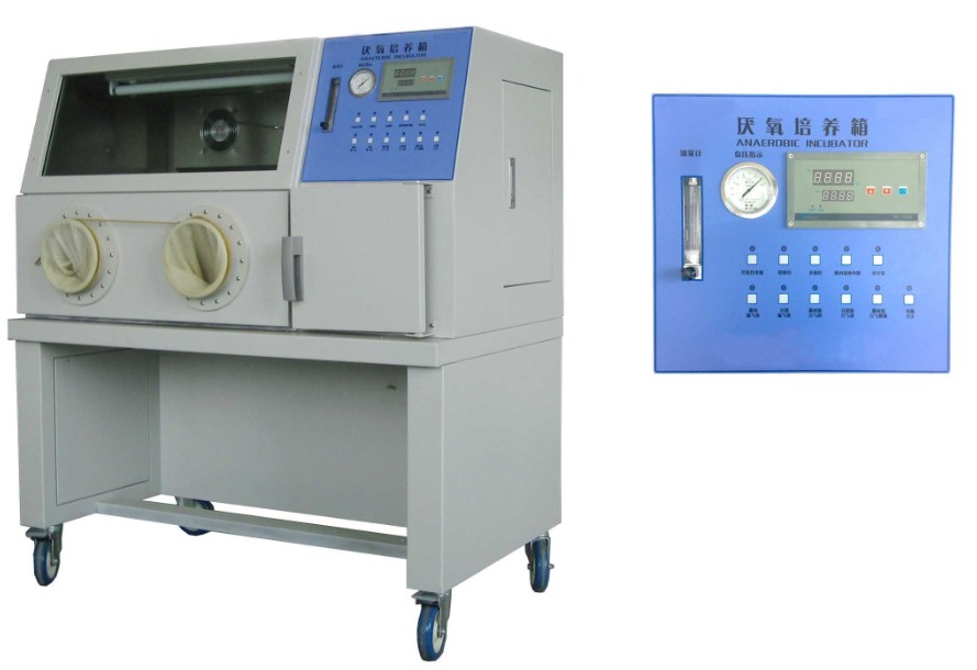 Anaerobic  Incubator