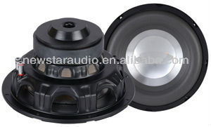 12 inch dual magnet steel subwoofer