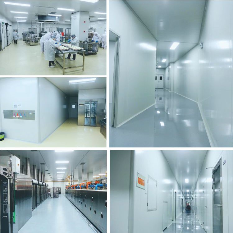 Professional clean room cleanroom project with purification pipework installation company