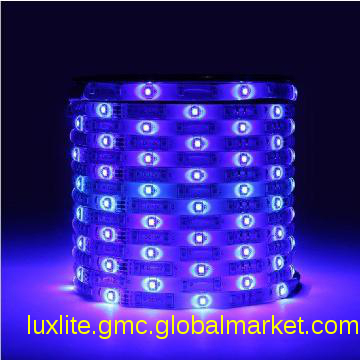 party Eastern Europe ledlight