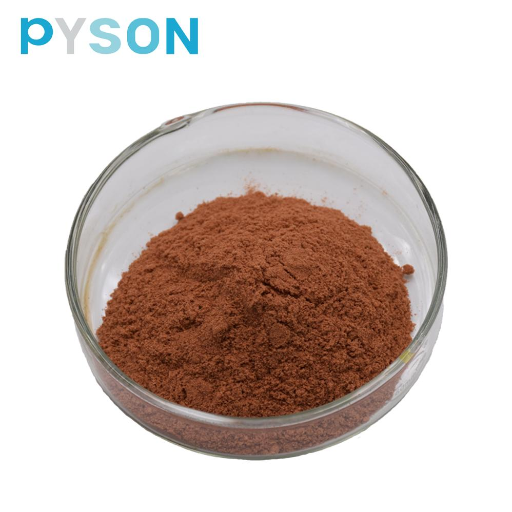 Cinnamon Bark Extract