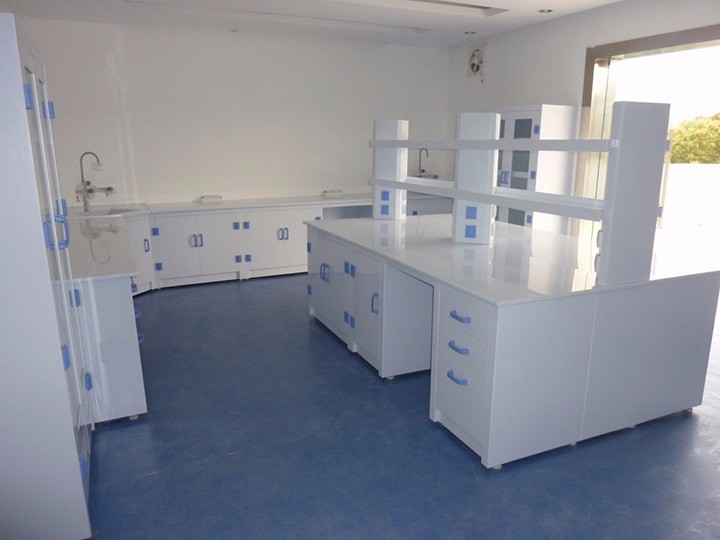 lab equipment full steel fume hood