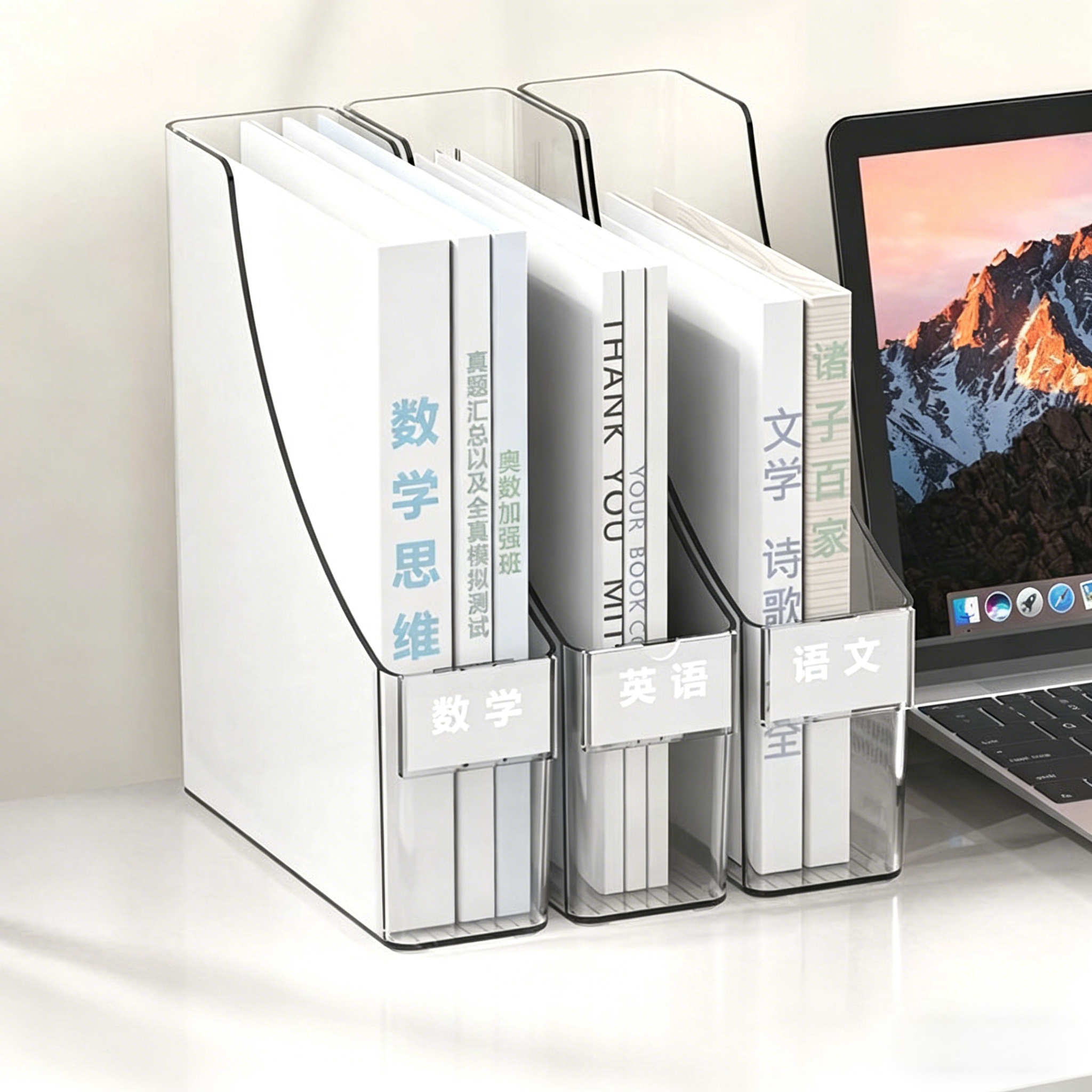 organizador de arquivos da área de trabalho desktop file organizer