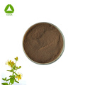 Organic St. John Wort Hypericum Perforatum Extract Powder