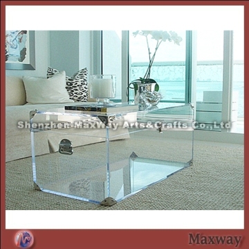 Lucite Trunk Coffee Table
