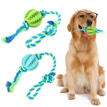 Dog Toys Keep Them Busy