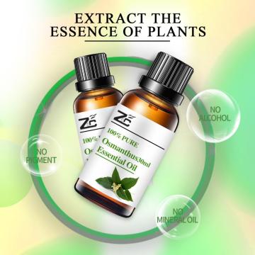 Osmanthus essential oil,osmanthus absolute essential oil