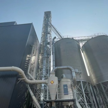 Acero 1000 toneladas de silo de grano Almacenamiento de trigo de trigo Silos de costo de silo Silos para cereales