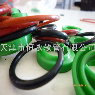 Viton rubber o ring conform to PAHS