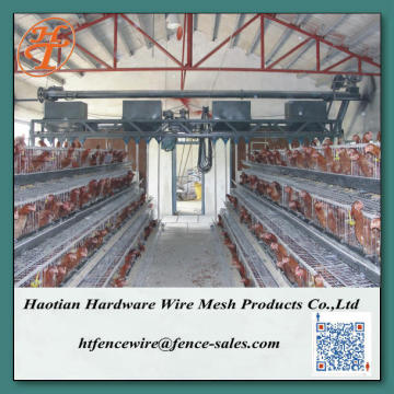 poultry battery cages