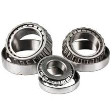 Straight Roller Bearing