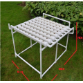 Indoor Hydroponic System for Tomato Lettuce Strawberries