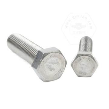 Hex Bolts Plains304 DIN933