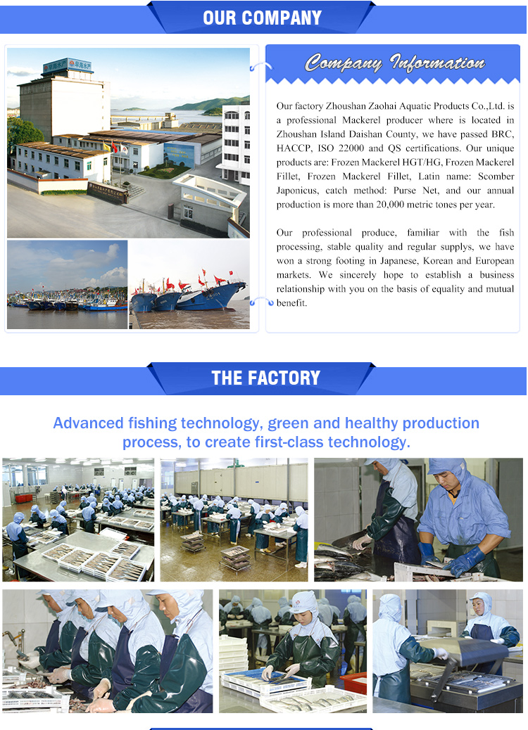 Chinese Export Frozen Fish Mackerel Fillets, High Quality Chinese