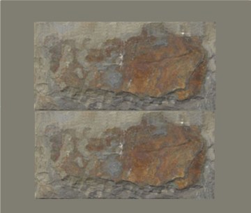 wall stone,mushroom stone