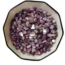 Dye-Colored Mother of Pearl Seashells for Nail Art Accessories