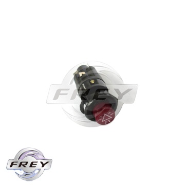 Hazard Light Switch 0025457124 for W317 W341