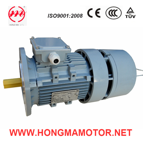 0.75kw 6pole AC Electric Self-Braking Motor (90S-6-0.75KW)