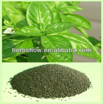 High Quality Sweet Basil Seed for planting Newest