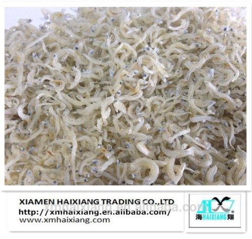 Dried salted Anchovies fish for sale