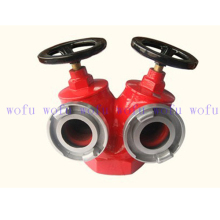 Two Way -65 in Door Hydrant