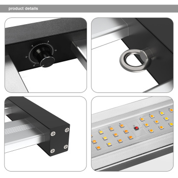 Horticultura 640W LED cresce luz regulável