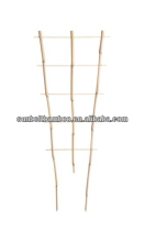 bamboo fan trellis