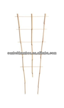 bamboo fan trellis
