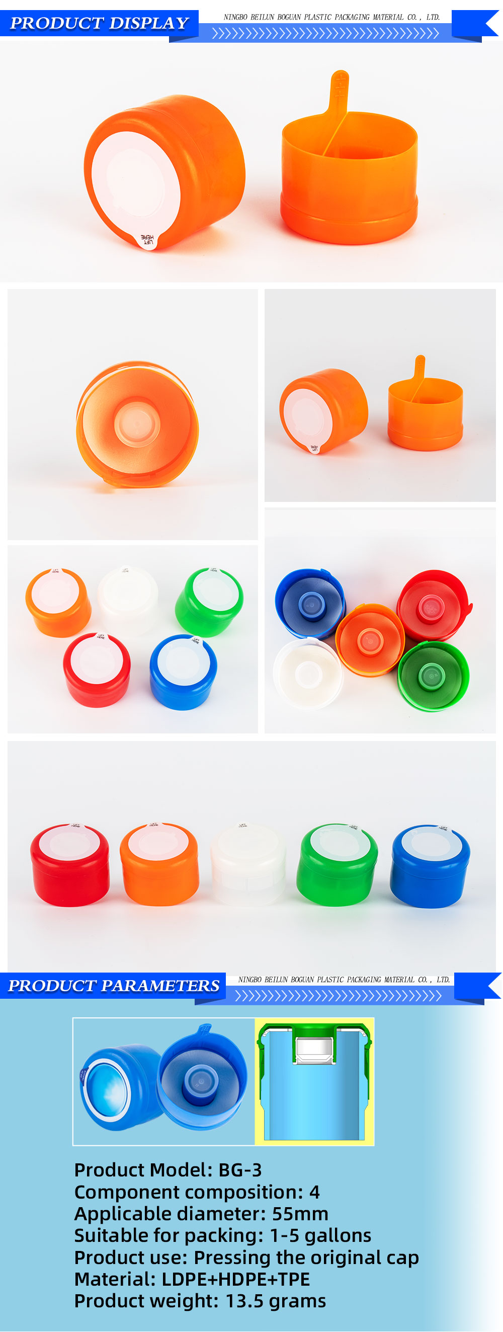 BG3-1-X_01 BG3-1-X_01